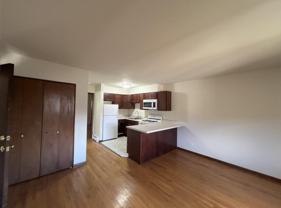 872 N Milwaukee Ave - Photo 1 of 1