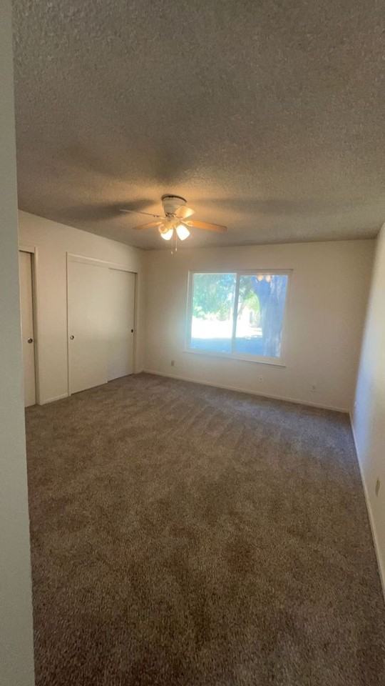 303 Diane Ct - Photo 3 of 15
