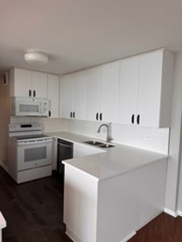 505 N Lake Shore Dr #1408 - Photo 2 of 46