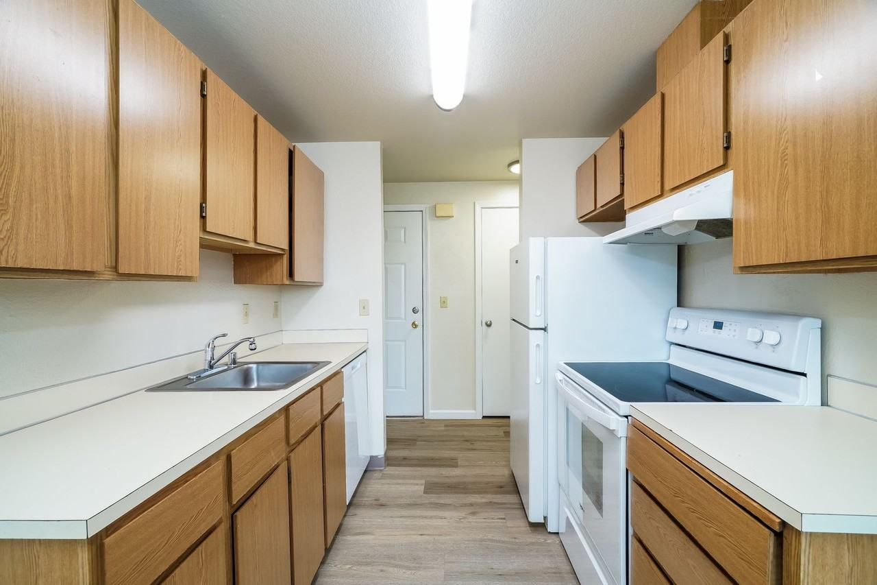 Magenta Apartments - Photo 5 of 21