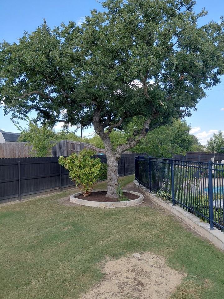 1846 Sandpiper Dr - Photo 4 of 24