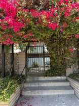 10805 Camarillo Street - Photo 1 of 1
