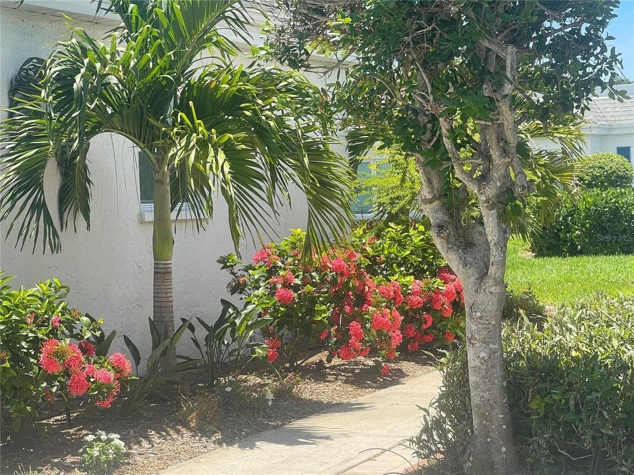 9819 Hernando Ct #29A - Photo 4 of 50