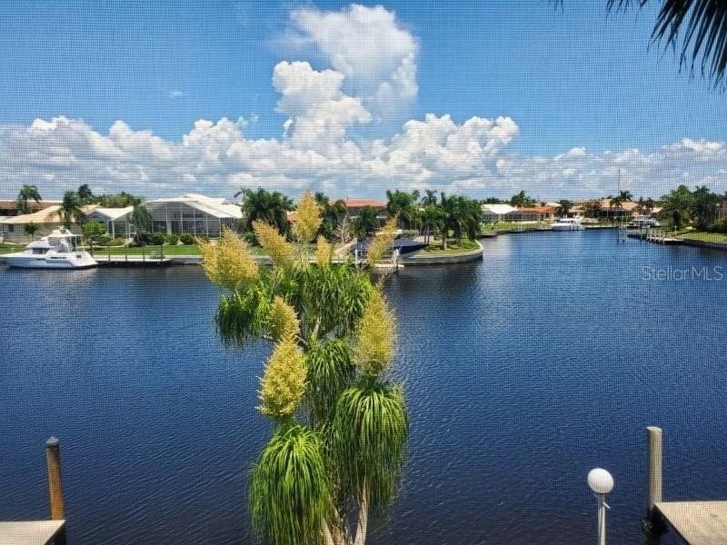 3768 Bal Harbor Blvd #4 - Photo 4 of 27