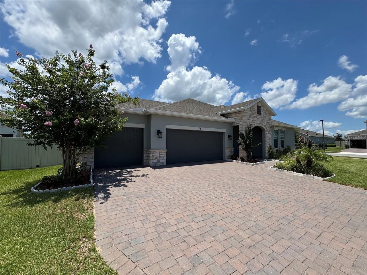 715 Blue Citrus Ln - Photo 2 of 50