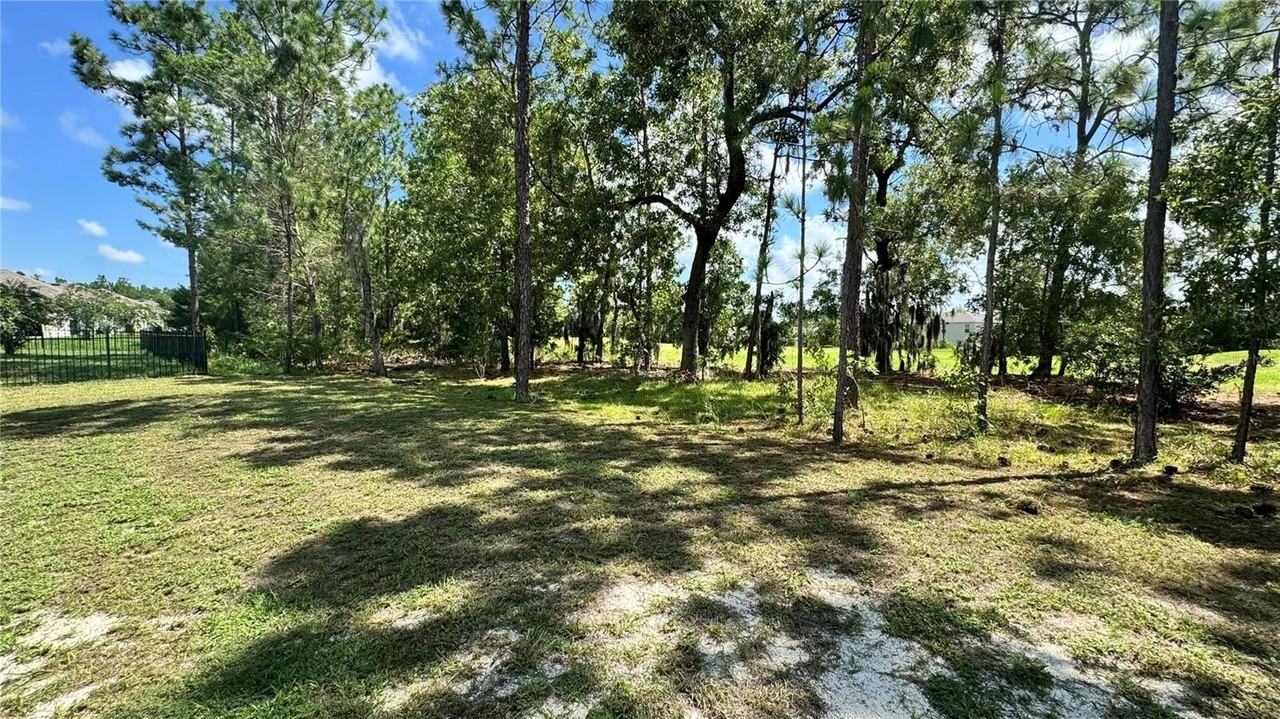 259 Hickory Course Radl - Photo 5 of 12