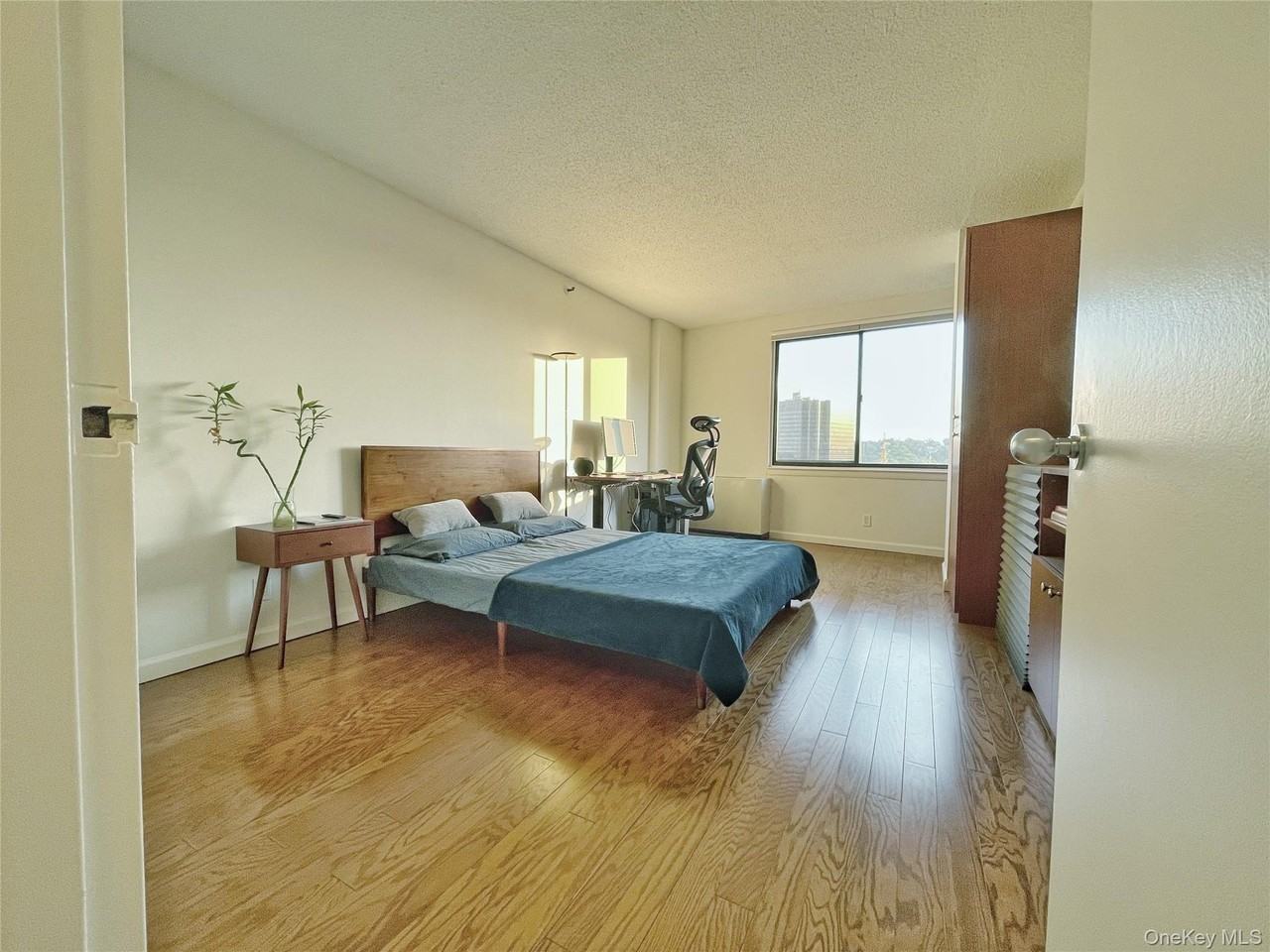 10 Cottage Pl #10G - Photo 4 of 23