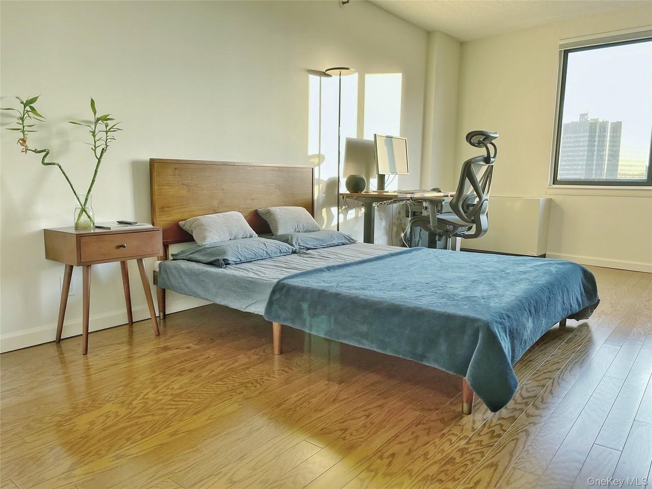 10 Cottage Pl #10G - Photo 5 of 23