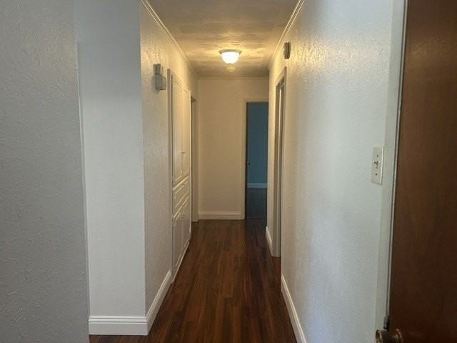 3022 Konet St - Photo 3 of 12