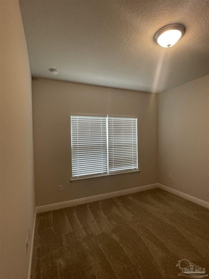 384 Hilburn Ln - Photo 3 of 13