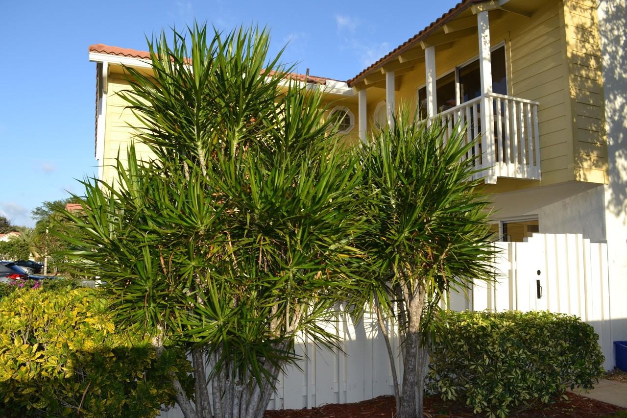 176 Seabreeze Cir - Photo 3 of 28