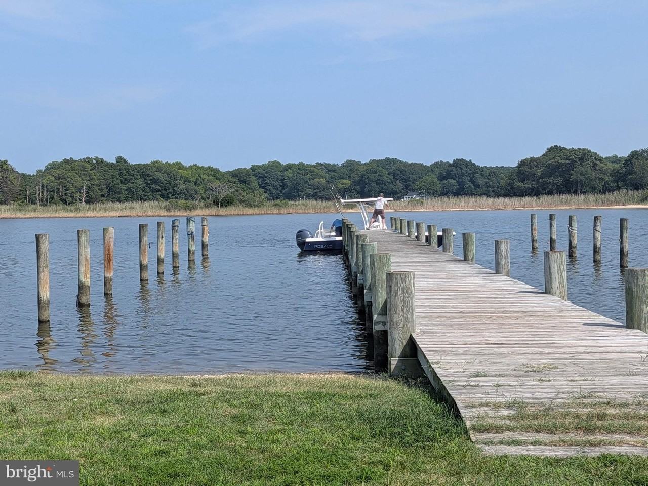 965 Chester River Dr - Photo 3 of 50