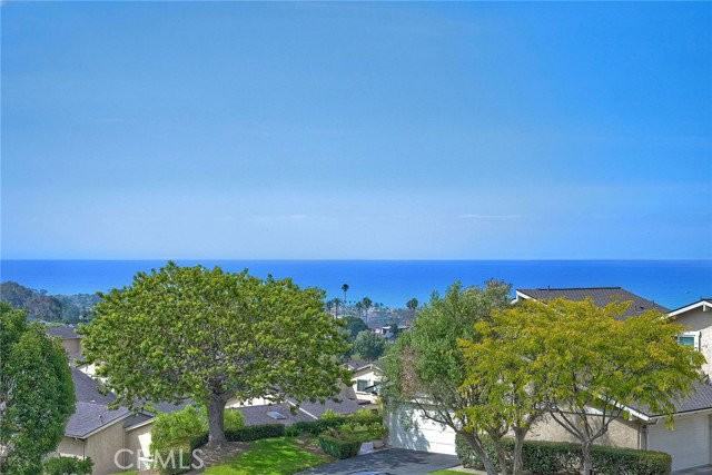 236 Calle Cuervo - Photo 6 of 8