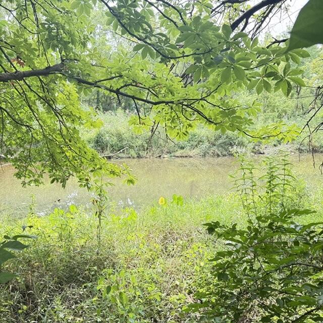 7015 Wadsworth Way - Photo 4 of 14