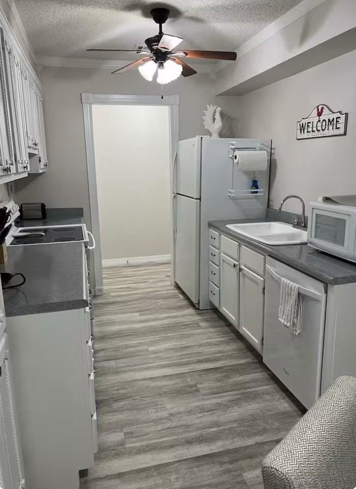 2916 Kathy Lane - Photo 4 of 11