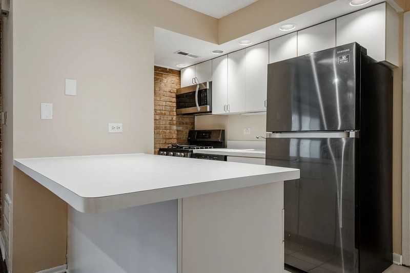 713 W Diversey Pkwy #7 - Photo 4 of 13