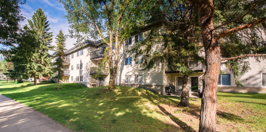 Parkwood - Photo 3 of 14