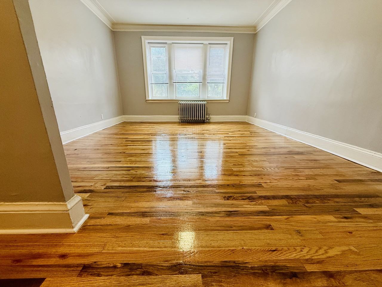 50 Anderson Street #A11 - Photo 3 of 19