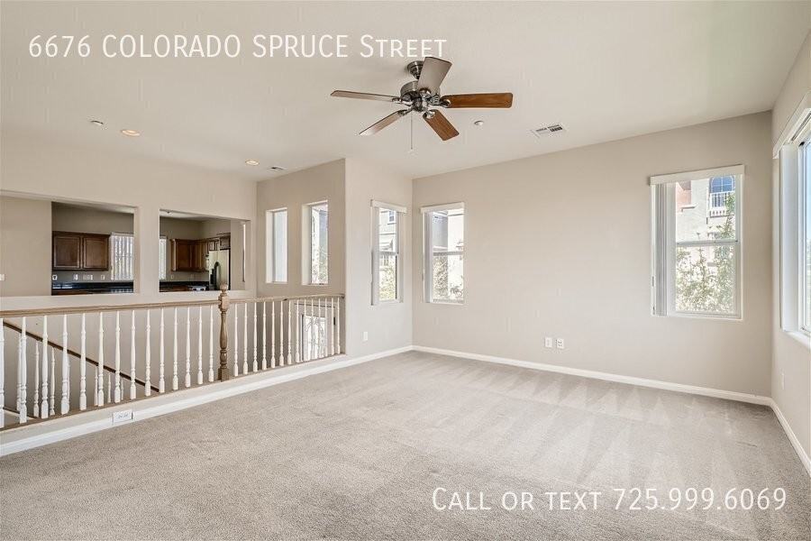 6676 Colorado Spruce St - Photo 6 of 25