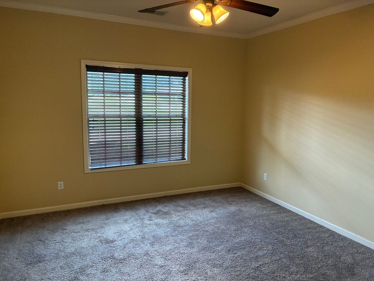 1037 (97 PR 1037 - former address) - Photo 5 of 16
