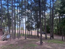 featured image of 509 Tejas Rd #1