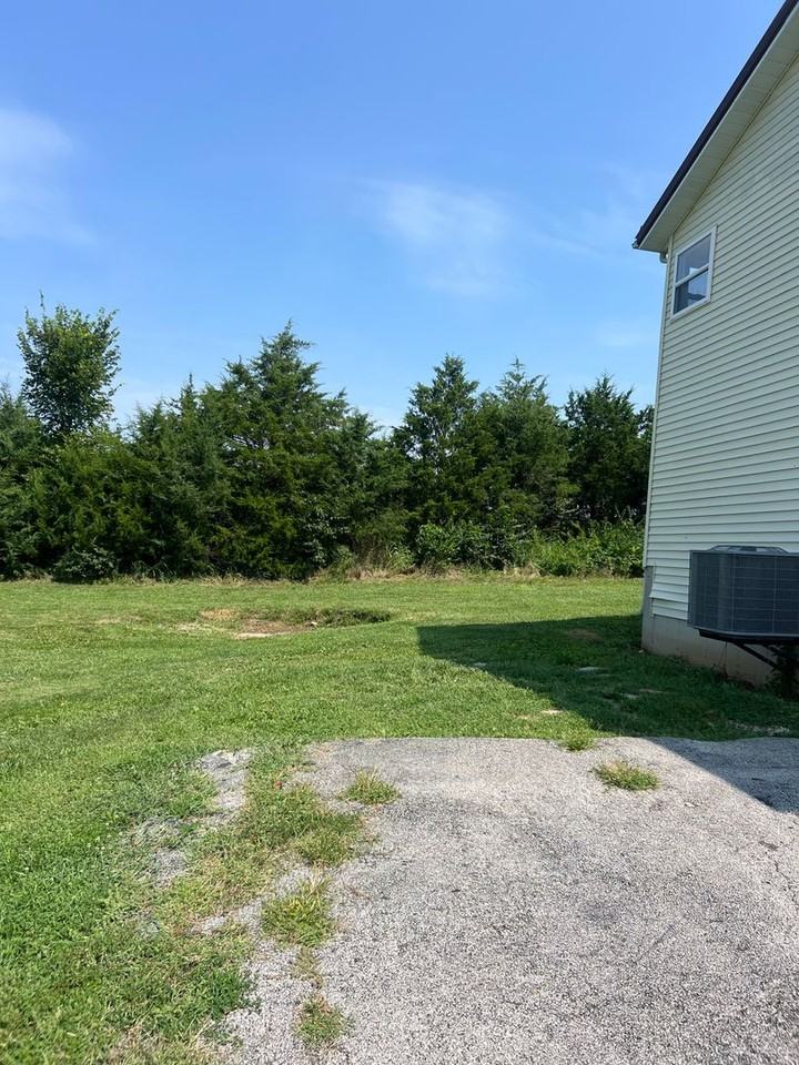 116 Baker St - Photo 3 of 14