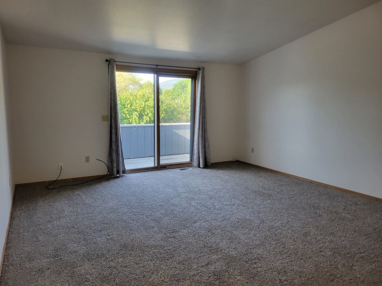 115 Tyler Way - 1Unit C #1 - Photo 7 of 18