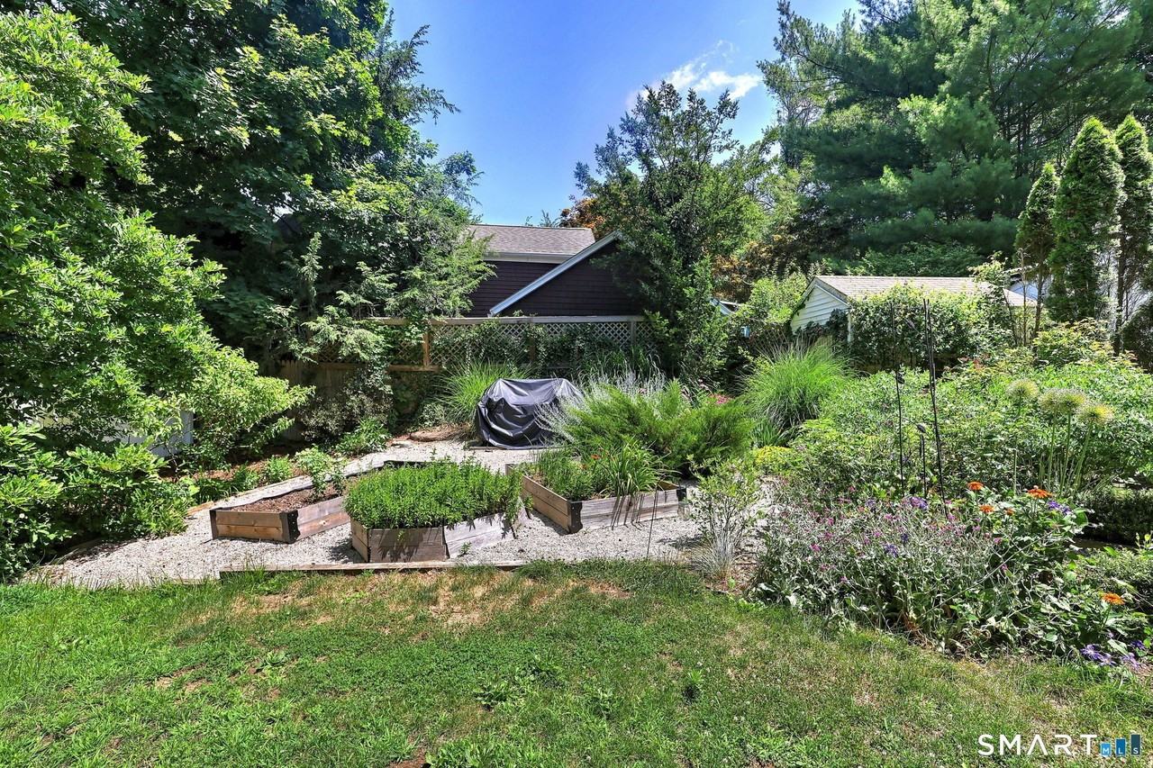 35 Wilkins St - Photo 4 of 40