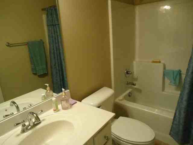 1315 Inverness Cove Dr - Photo 7 of 17