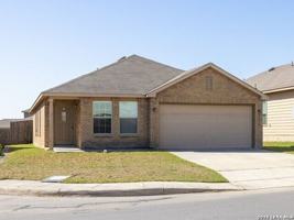 featured image of 3918 Texas Hawthorn