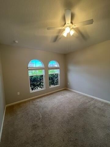 4528 Alligator Flag Cir - Photo 6 of 20