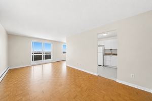 featured image of 33 Dawson Rd