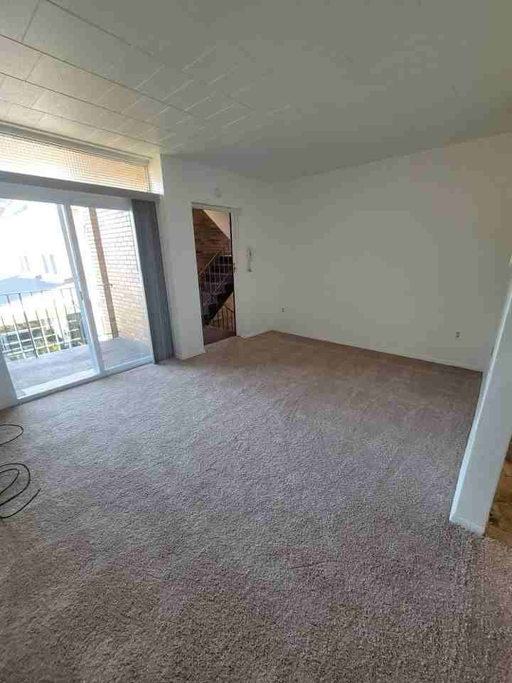 Treehouse Apartments - Photo 4 of 5
