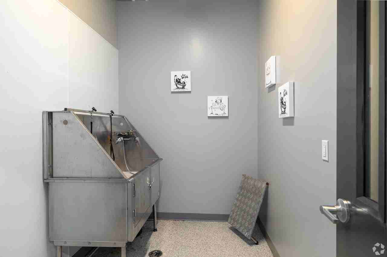 3101 Euclid Avenue - Photo 6 of 17