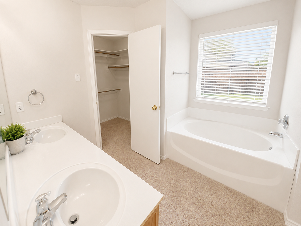 203 Kenosha Ln - Photo 6 of 13