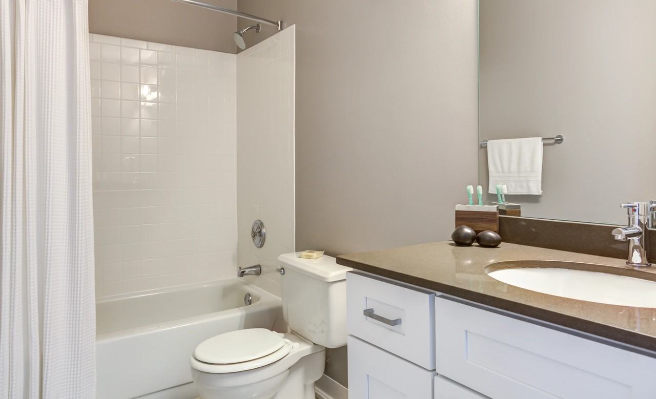 2554 North Clark Street #405 - Photo 4 of 10