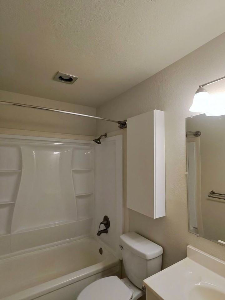 5316 Lansingford Trl - Photo 4 of 4