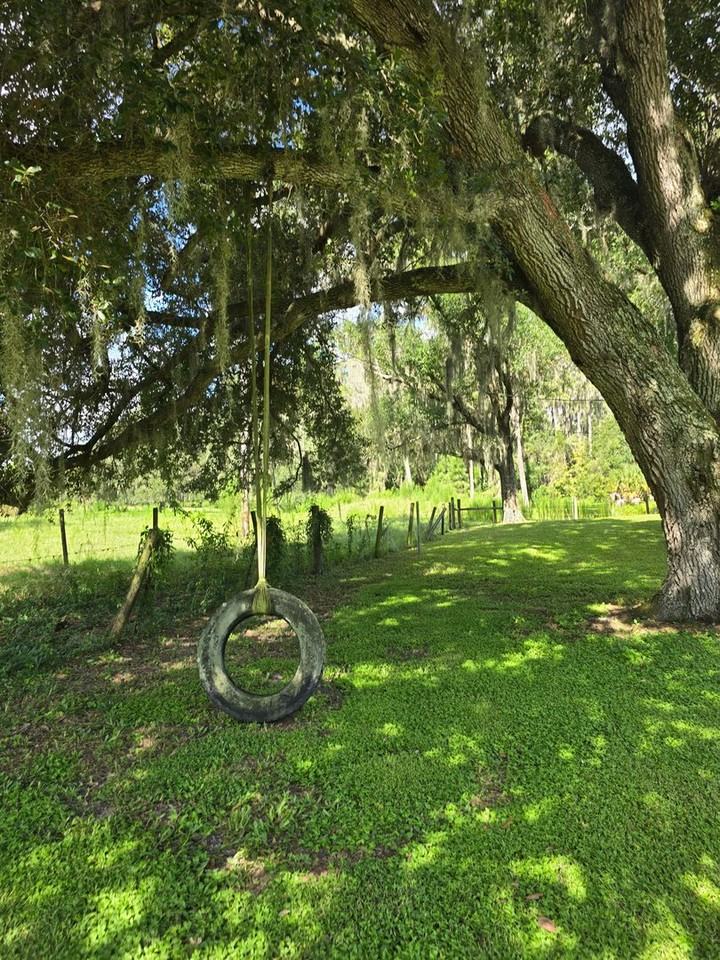 6401 Paul Buchman Hwy - Photo 4 of 25