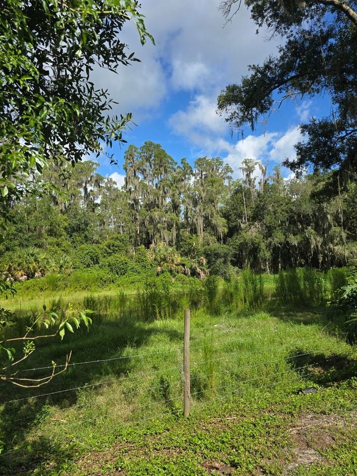 6401 Paul Buchman Hwy - Photo 6 of 25