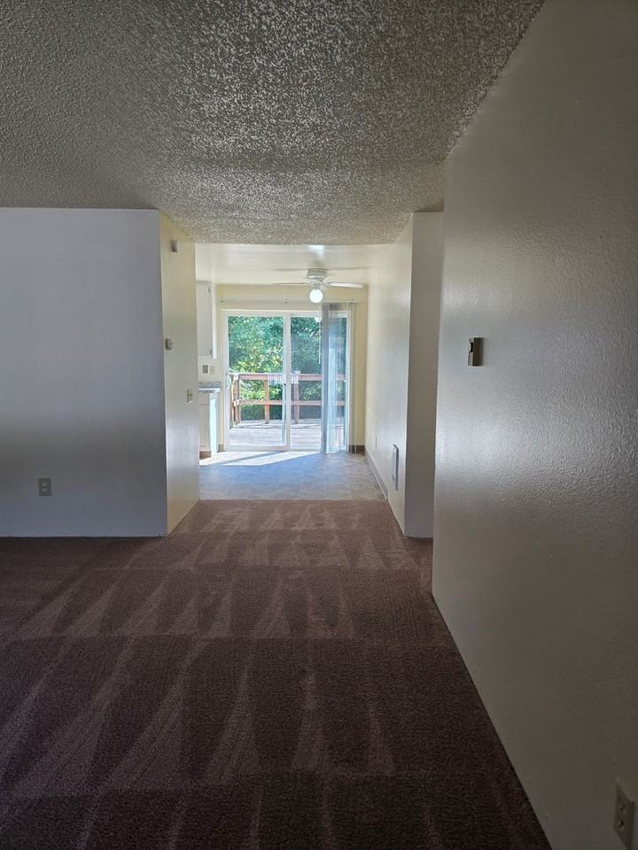 34040 46th Ave S - Photo 5 of 19