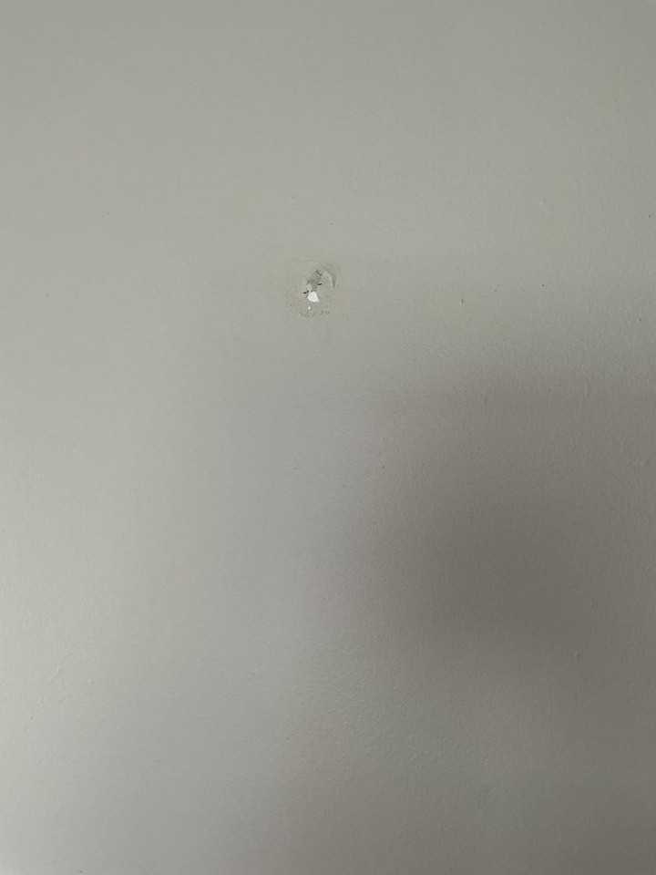 Wilshire Apartments (Wilshire 23 LLC) - Photo 7 of 13