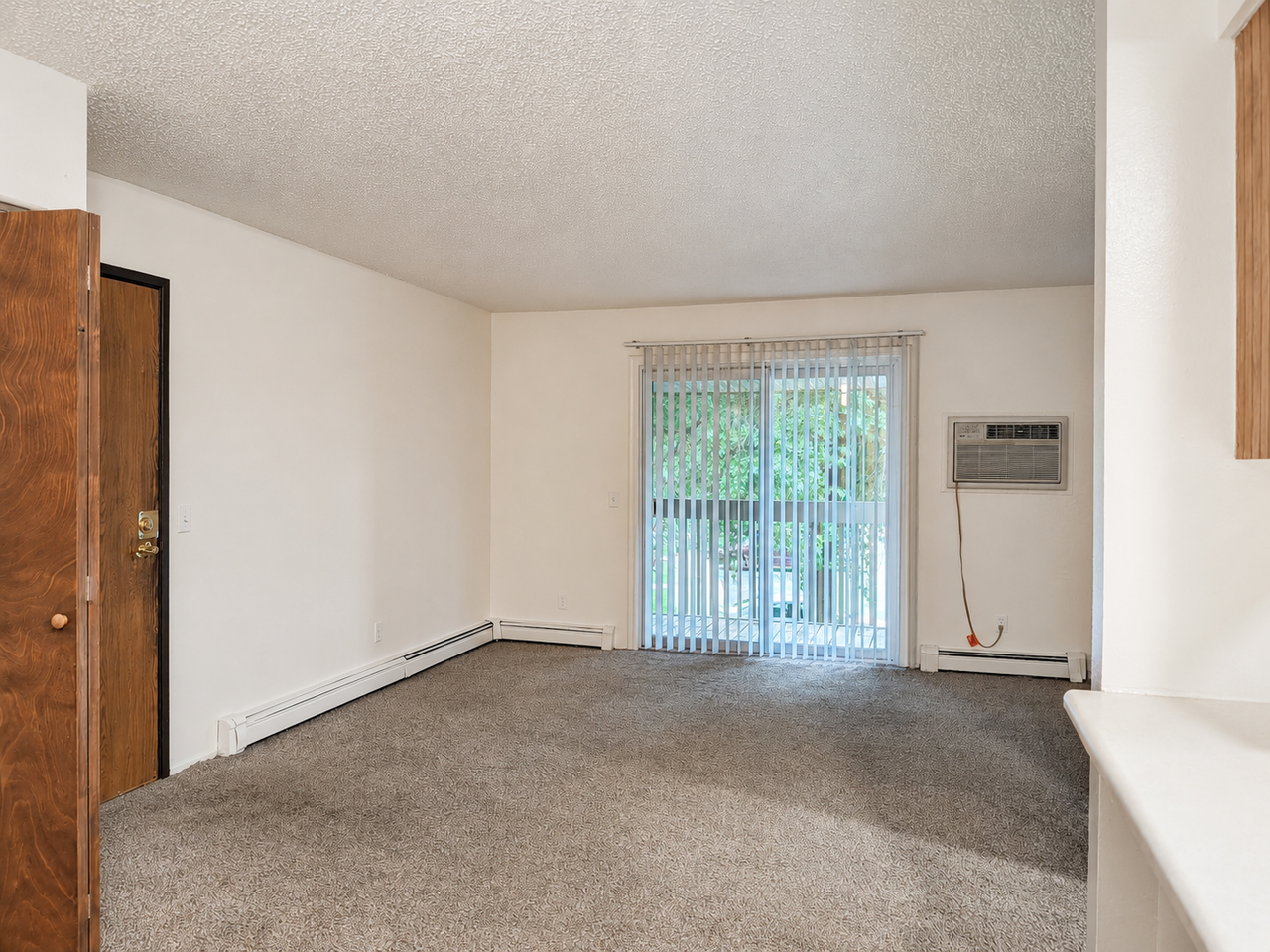 800 Richard Dr - Photo 4 of 13