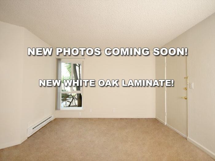 415 - 425 S Bernardo Avenue #425-207 - Photo 3 of 8
