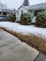 featured image of 315 1/2 S 9th St #1