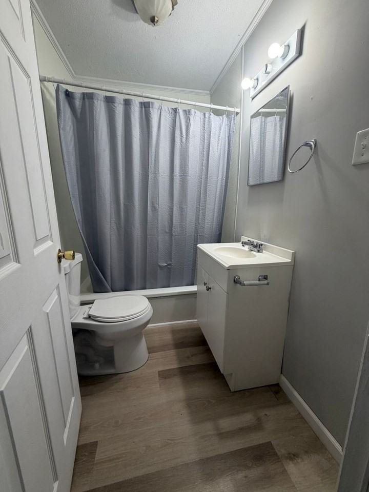 615 Chester Levee Rd - Photo 5 of 11