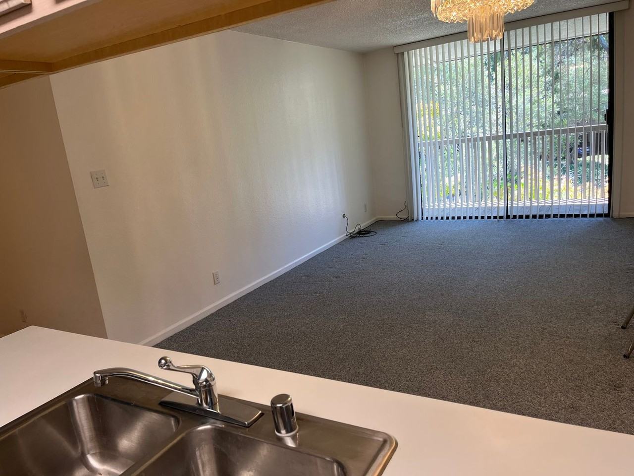 4355 Shelter Creek Ln - Photo 4 of 12