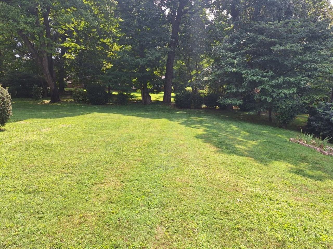 6826 Dorchester Dr - Photo 4 of 50