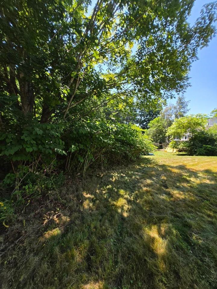 13 South St #155 - Photo 7 of 23