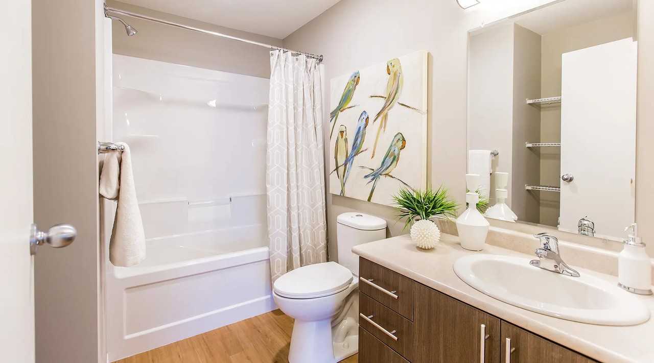 Dansereau Apartments - Photo 7 of 14