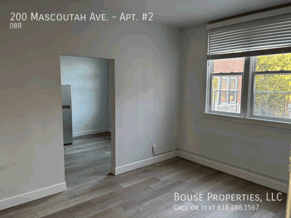 200 Mascoutah Ave #2 - Photo 2 of 4